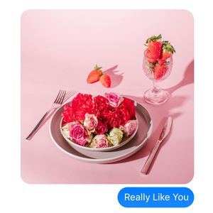 双女主炒菜真人
