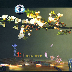 双女主炒菜真人
