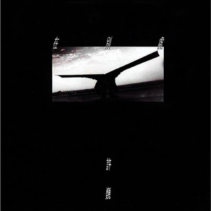 双女主炒菜真人
